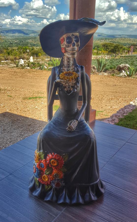 فندق El Macehual Atotonilco  المظهر الخارجي الصورة